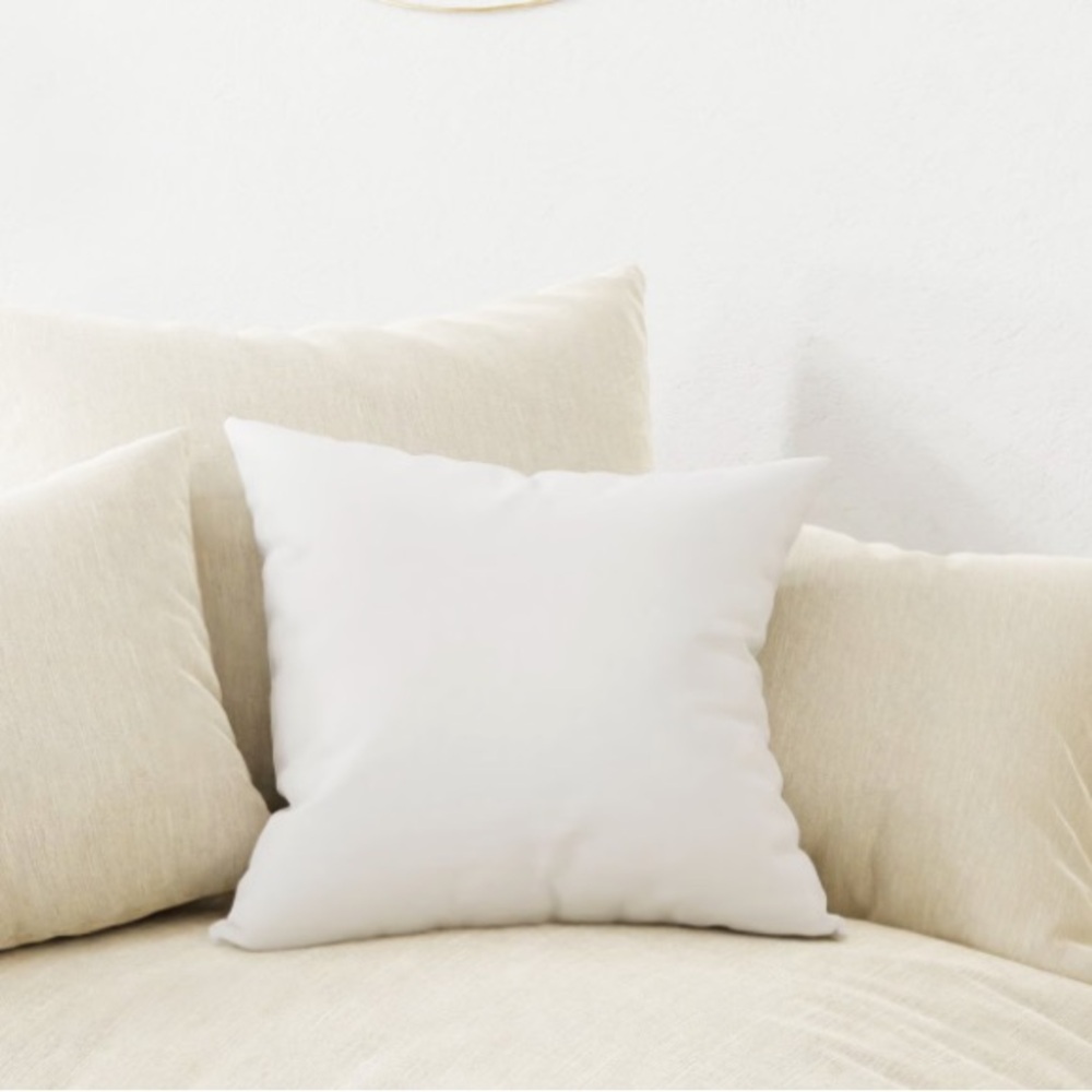 NWT Looms & Linens 22x22 Euro Hypoallergenic Down Alternative Pillow Insert